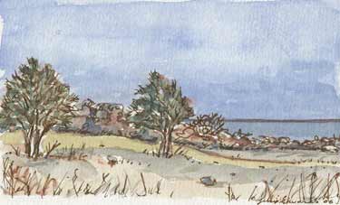 Trees, Field and Water