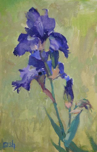 Violet Iris