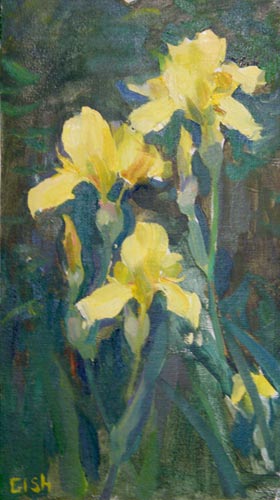 Yellow Iris