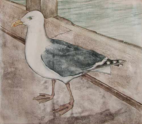 Gull