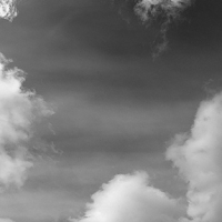 James Duval, ‘Cow Cove, 2025", digital pigment print, 14 x 40, $650.00 James Duval, ‘Cow Cove, 2025", digital pigment print, 14 x 40, $650.00