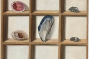 Sarah Bird, “Shell Collection II” oil on panel, 10 x 10”, $2,100.00