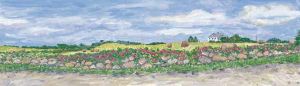 Jessie Edwards, "Haybales and Roses - Pilot Hill"